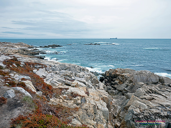 Duck Reef Loop 33
