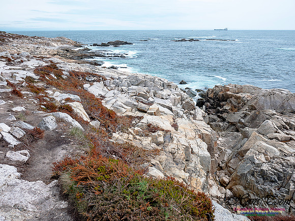 Duck Reef Loop 32