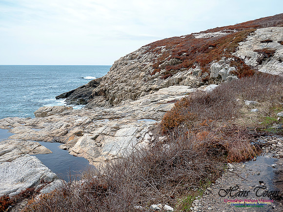 Duck Reef Loop 31