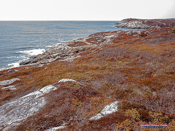 Duck Reef Loop 29