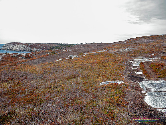 Duck Reef Loop 28