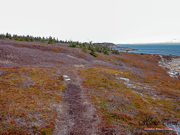 Duck Reef Loop 27