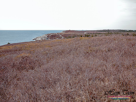 Duck Reef Loop 24