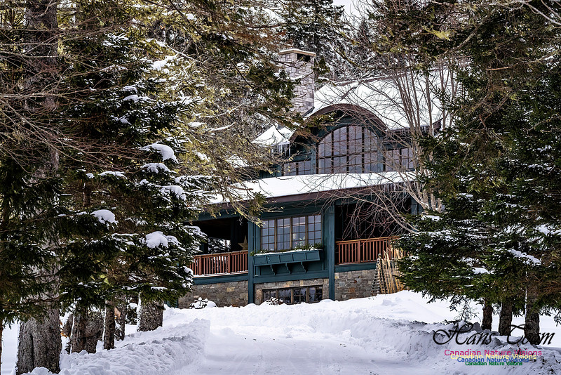 Some Winter Scenes 119 copy