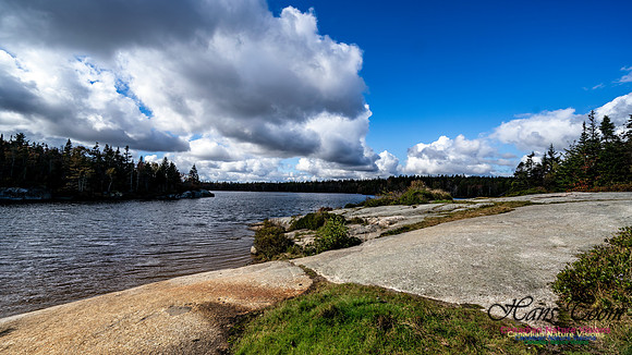 Sambro Loop 120