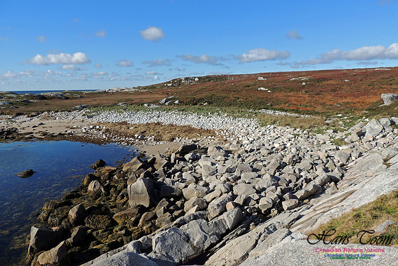 Coastal Barrens of Pennant Peninsula
