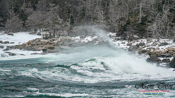 February 17 Gale 119