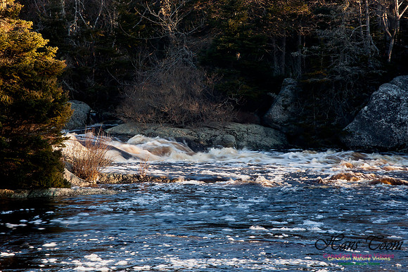 Pennant River