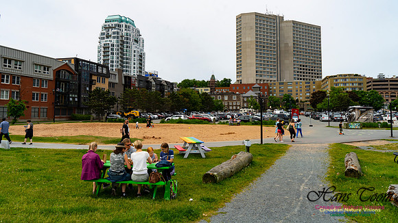 Halifax Waterfront Stroll 135