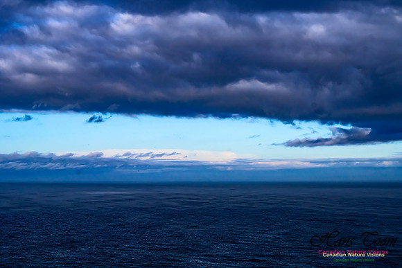 Aura of Ocean 100