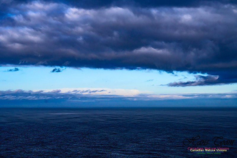 Aura of Ocean 100