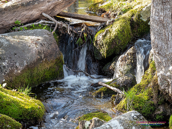 Jerry Lawrence Provincial Park 1