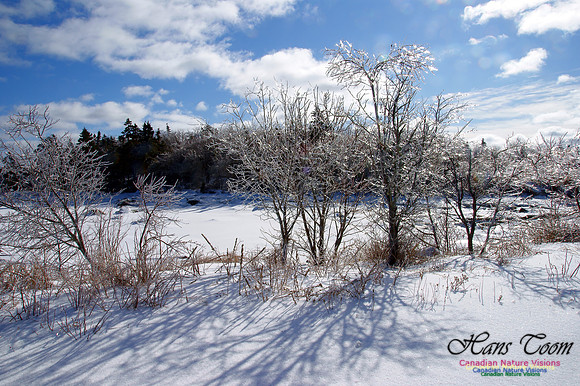 Ice Crystals