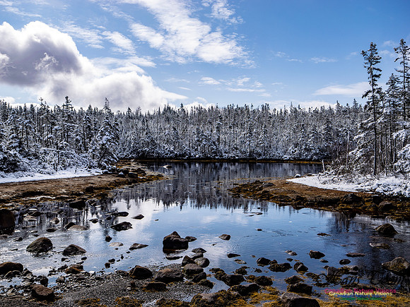 April Snow in Nova Scotia 214
