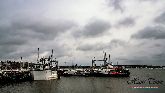 Harbour Traffic 121
