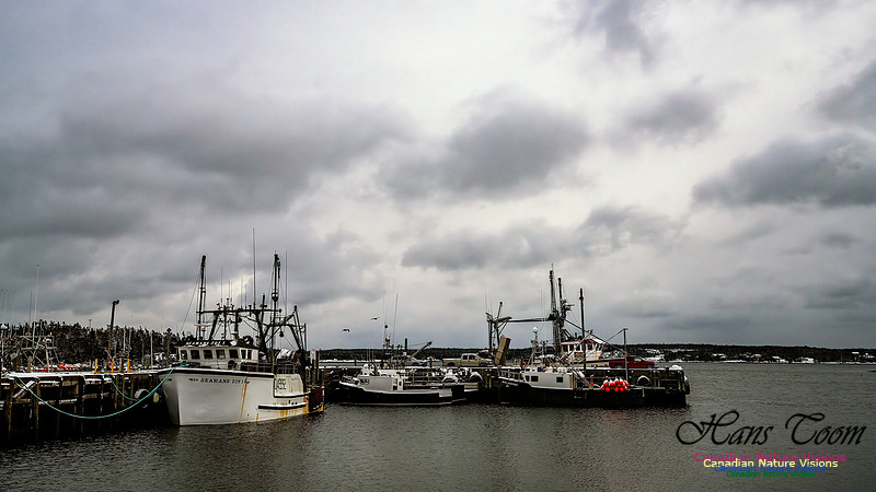 Harbour Traffic 121