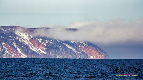 Blomidon 100