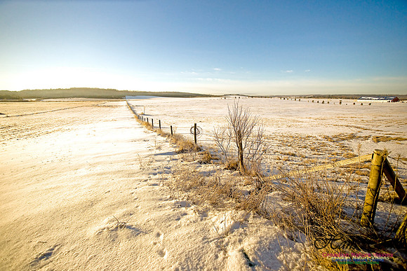 Country Farm in Winter