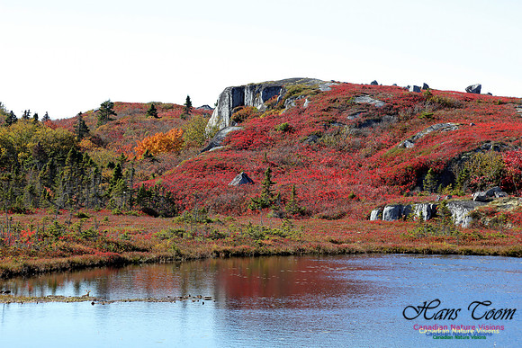 CoastalBarrensFall2016-1014