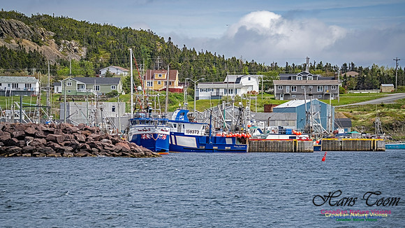 Twillingate 122