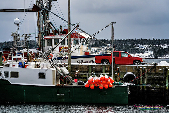 Harbour Traffic 120