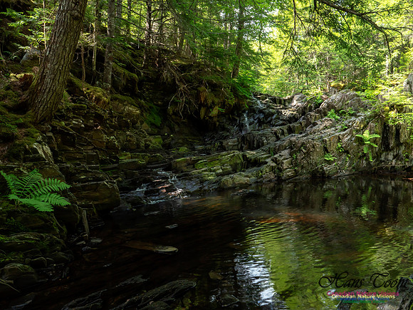 Nuttall Brook Falls 4