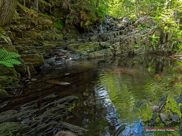 Nuttall Brook Falls 5