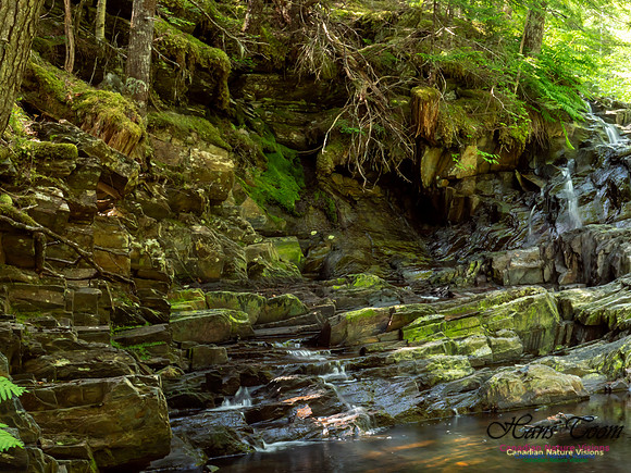 Nuttall Brook Falls 1