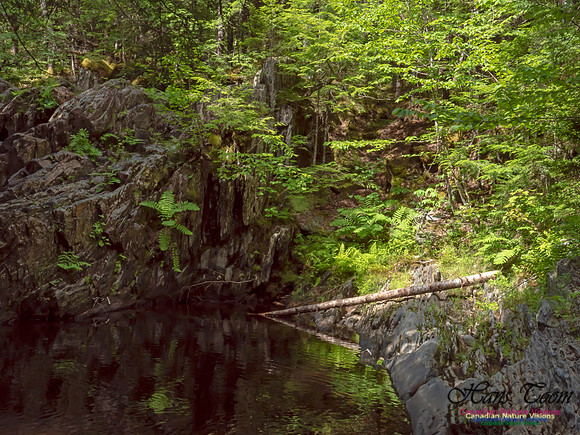 Nuttall Brook Falls 2