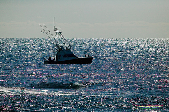SportFisher off Chebucto Head