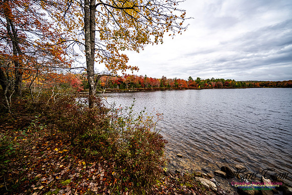More Early Fall Photos in Nova Scotia 226