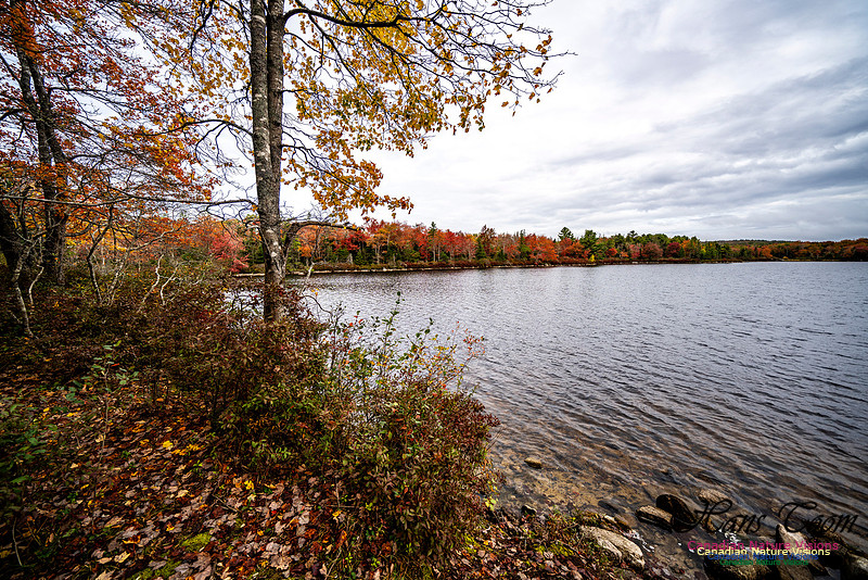 More Early Fall Photos in Nova Scotia 226
