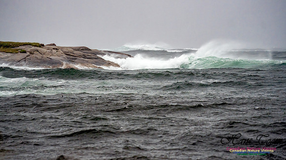 Nova Scotia Gale 2024-09-07 183