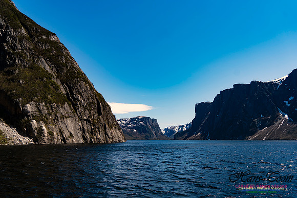 Western Brook Pond 133