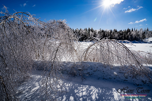 Ice Storm 2022 117