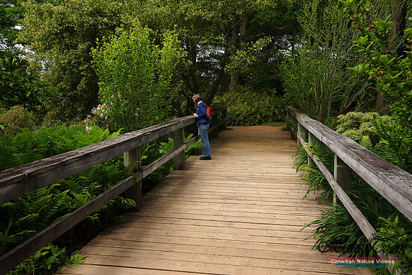 Annapolis Royal Historic Gardens