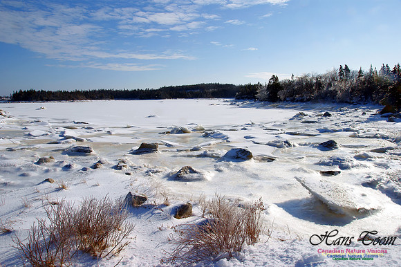 Indian Harbour Frozen