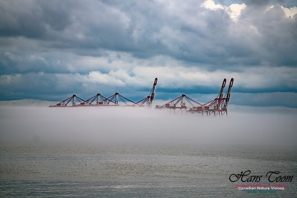 Harbour Cranes in Fog 100