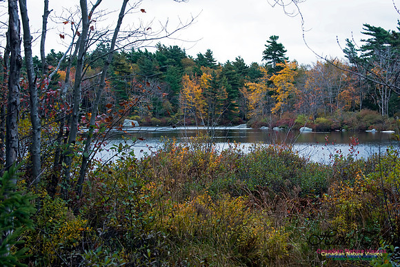 Sir Sanford Fleming Park