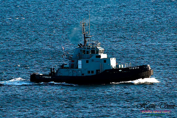 Naval Tug Glenbrook