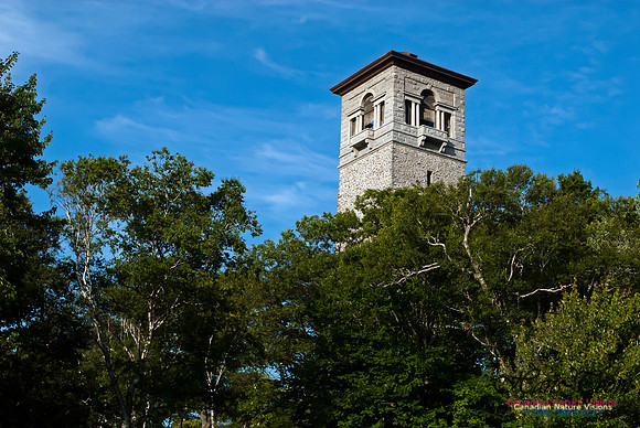 The Dingle Tower