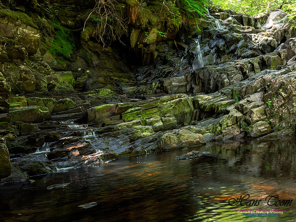 Nuttall Brook Falls 3