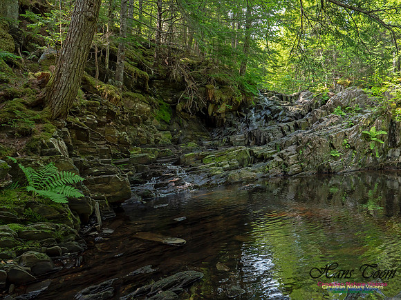 Nuttall Brook Falls 6