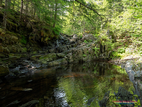 Nuttall Brook Falls 7