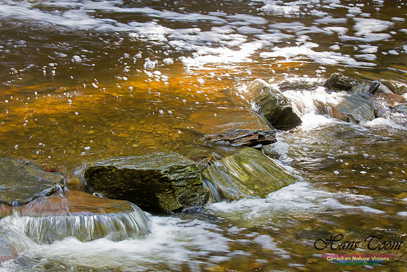 Moving Water 1