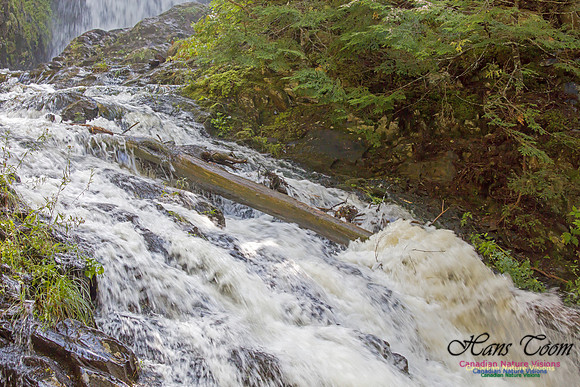 Moving Water 3