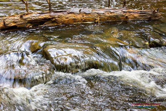 Moving Water 11