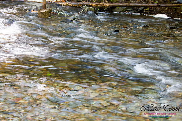 Moving Water 12