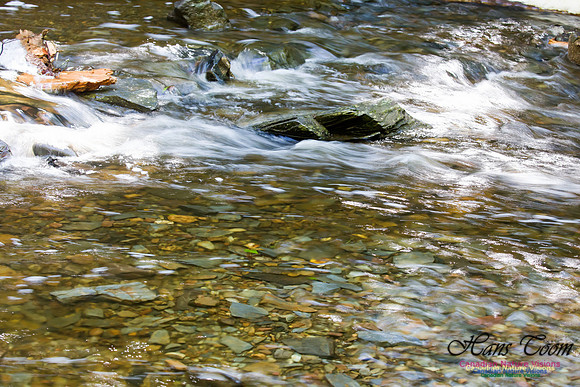 Moving Water 13