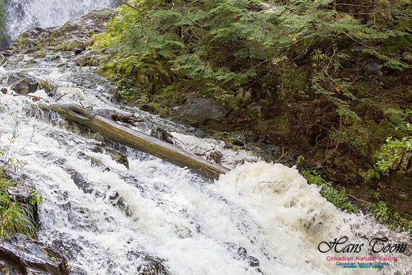 Moving Water 17